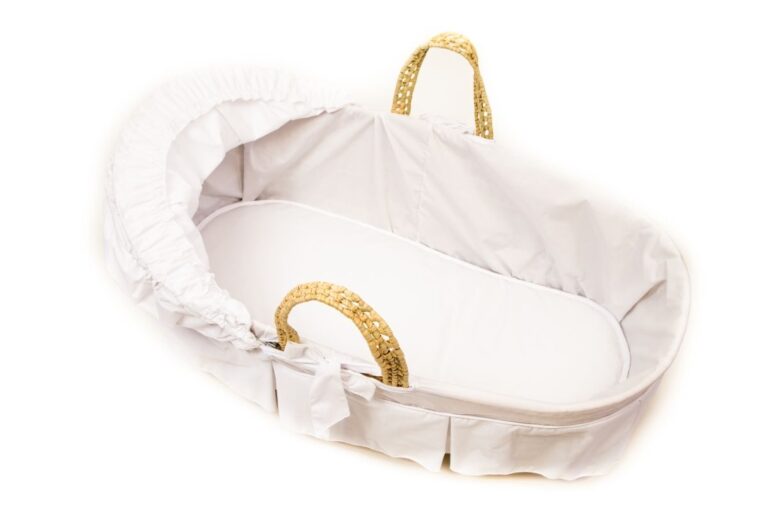 Are Moses Baskets Worth It? (Pros and Cons) Parents Route