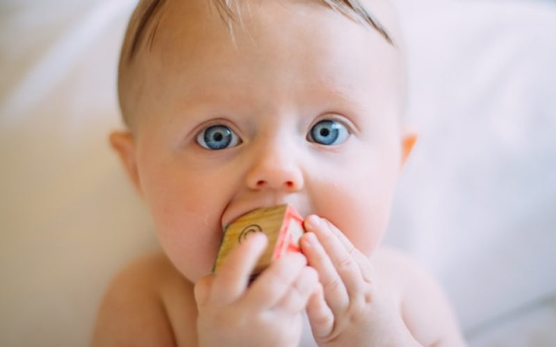 baby eating a block